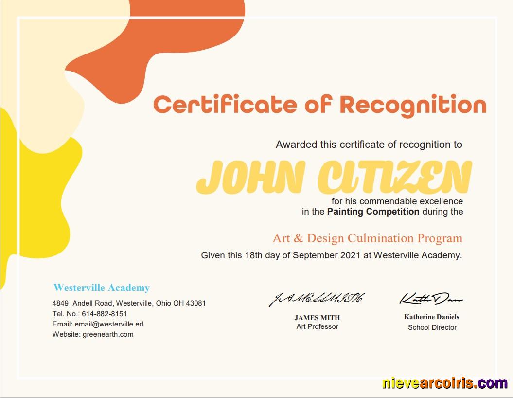 USA Painting Award certificate